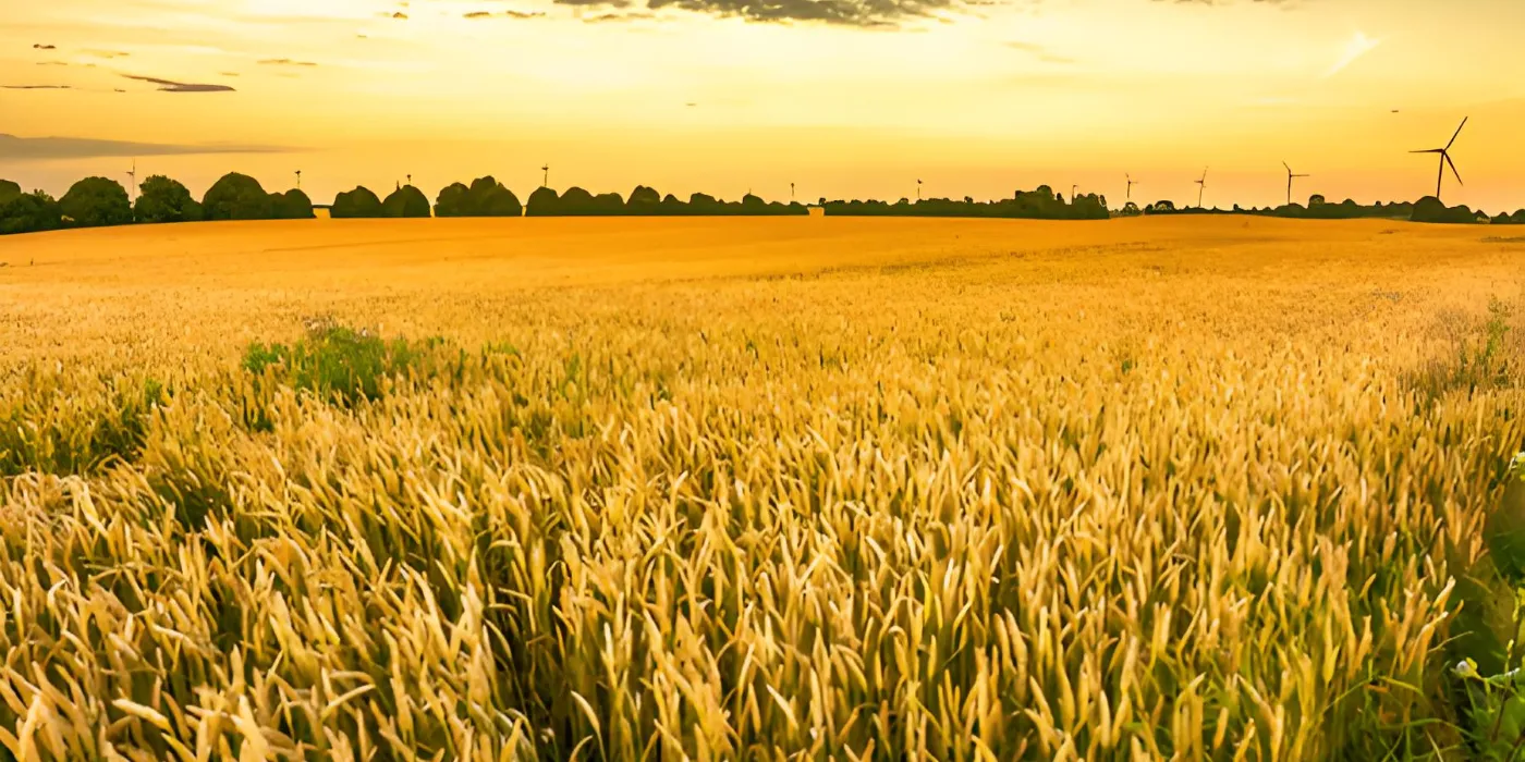 Agriculture