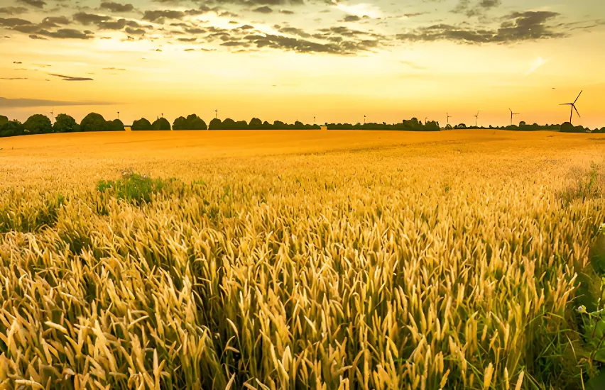 Agriculture